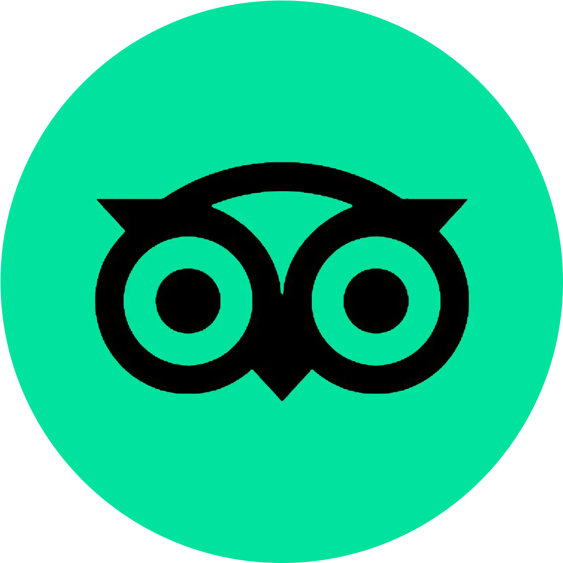 Tripadvisor